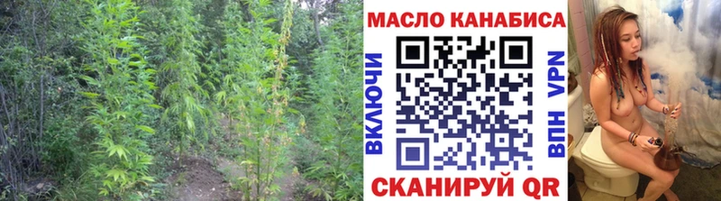 Купить  Александровск-Сахалинский  Дистиллят ТГК THC oil 