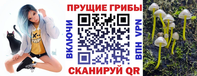 Галлюциногенные грибы прущие грибы  Купить  Александровск-Сахалинский 
